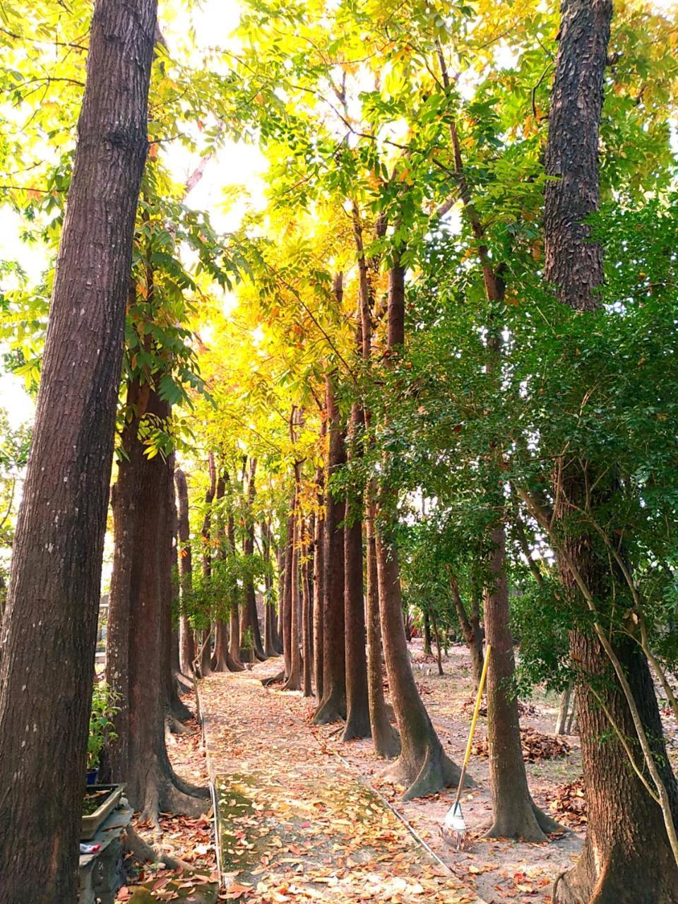 Meinong Yun Shanju Homestay Mei-nung Bagian luar foto