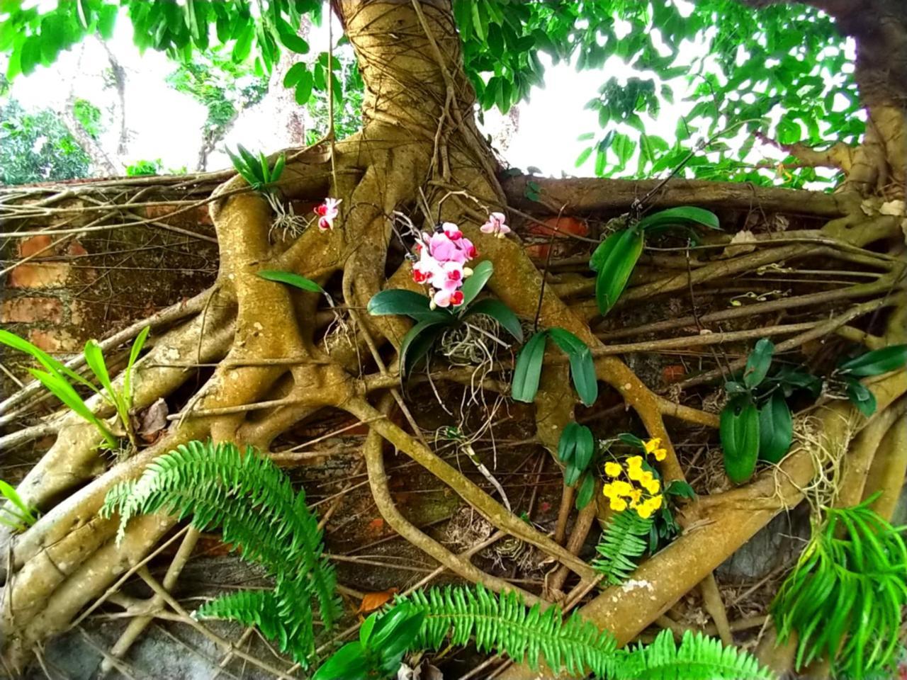 Meinong Yun Shanju Homestay Mei-nung Bagian luar foto